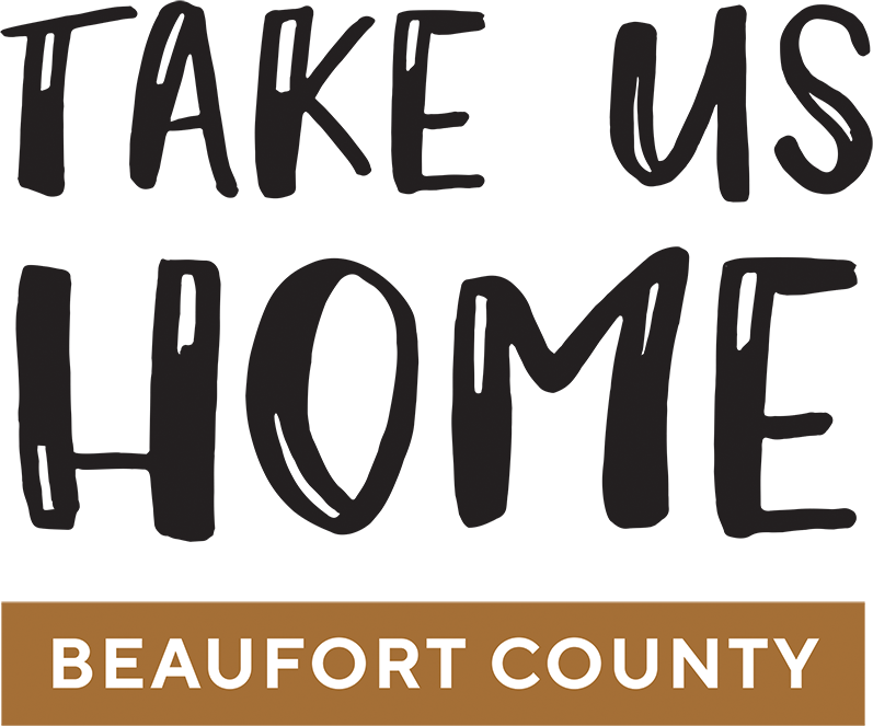Take Us Home Logo